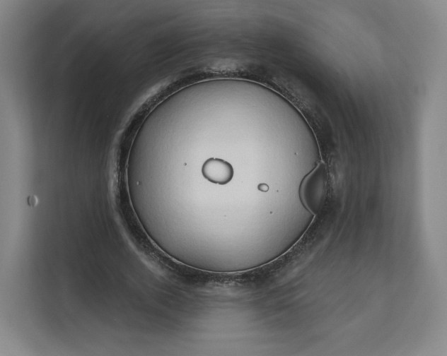 X0000112200728200908211540