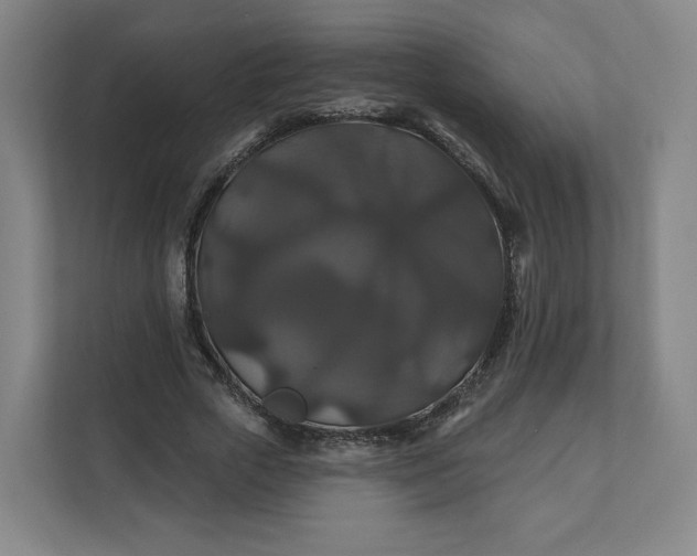 X0000112200729200908211540