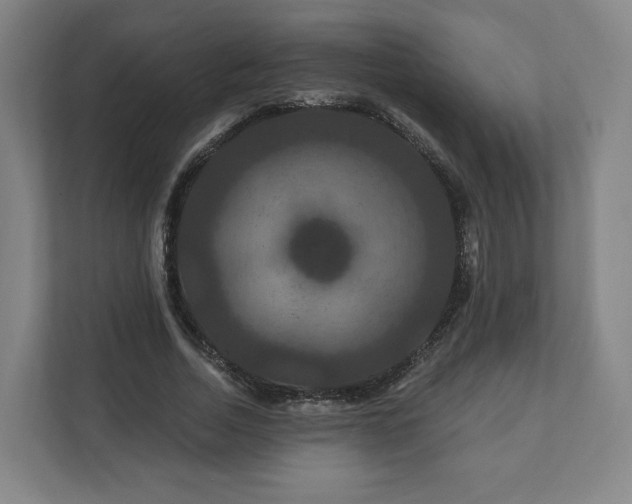 X0000112200730200908211540