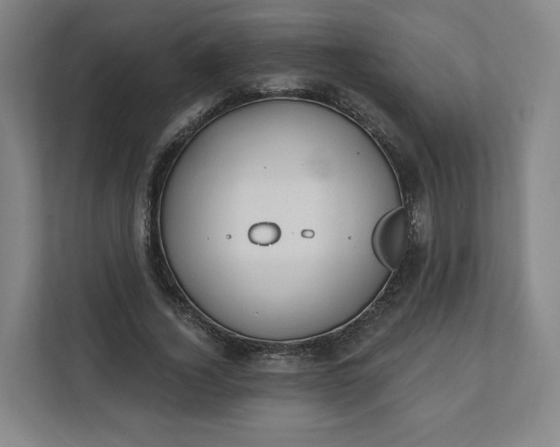 X0000112200732200908211540