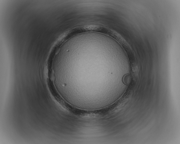 X0000112200734200908211540