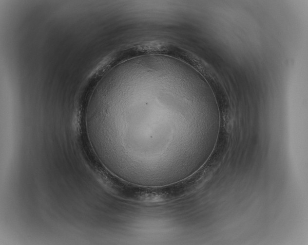 X0000112200735200908211540