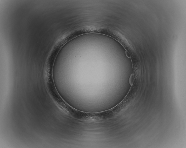 X0000112200736200908211540