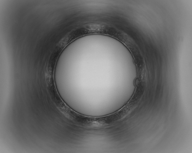 X0000112200737200908211540