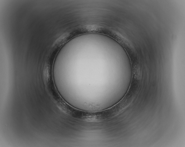 X0000112200740200908211540