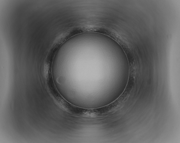 X0000112200742200908211540