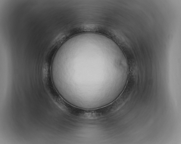 X0000112200744200908211540