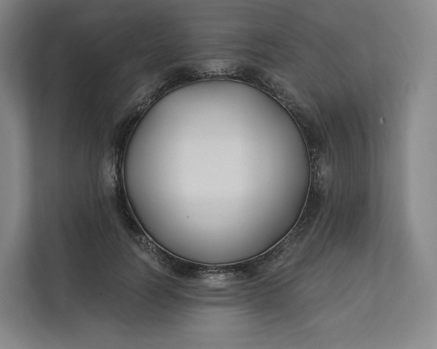 X0000112200746200908211540