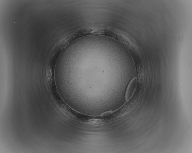 X0000112200748200908211540