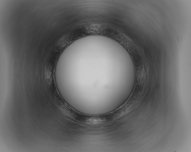 X0000112200749200908211540