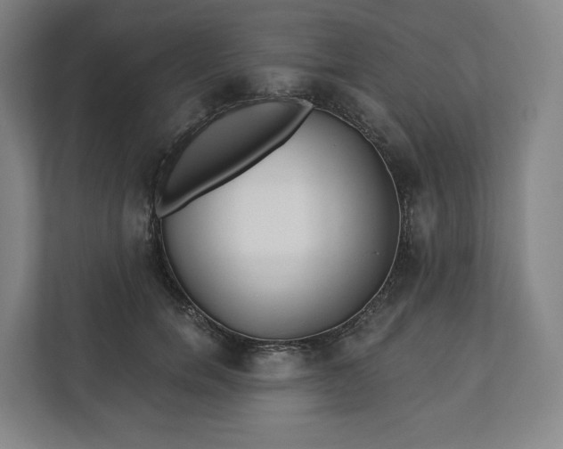 X0000112200750200908211540