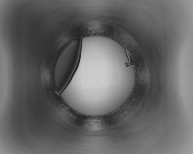 X0000112200756200908211540