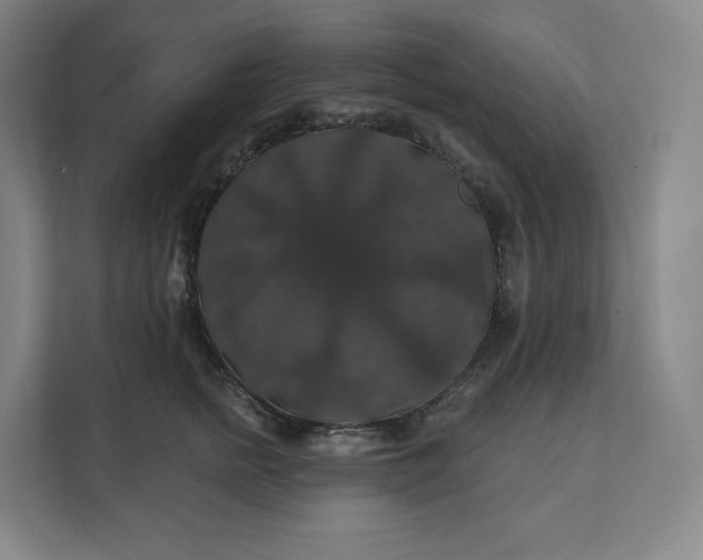 X0000112200758200908211540