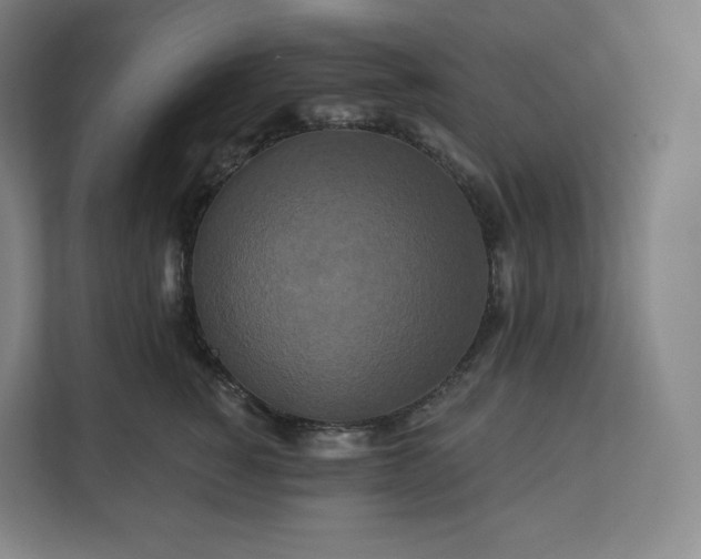 X0000112200760200908211540