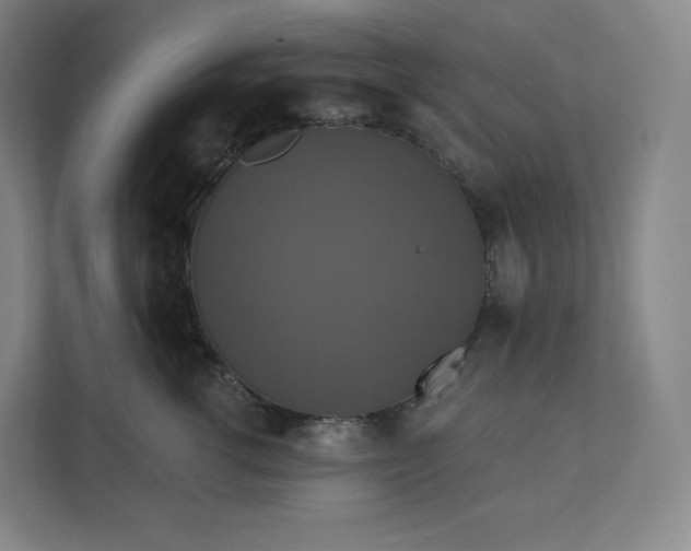 X0000112200762200908211540