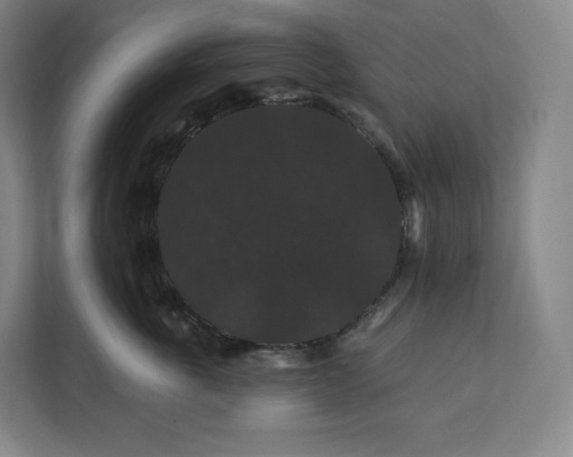 X0000112200763200908211540