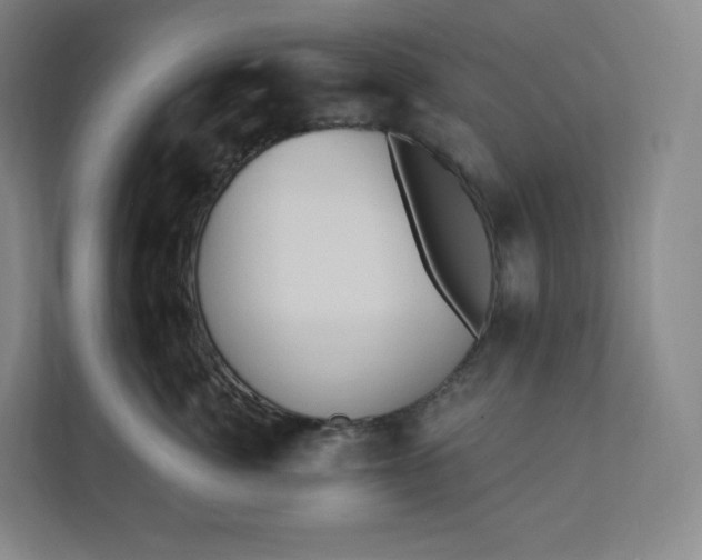 X0000112200764200908211540