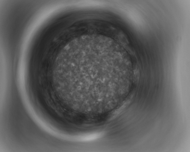 X0000112200765200908211540