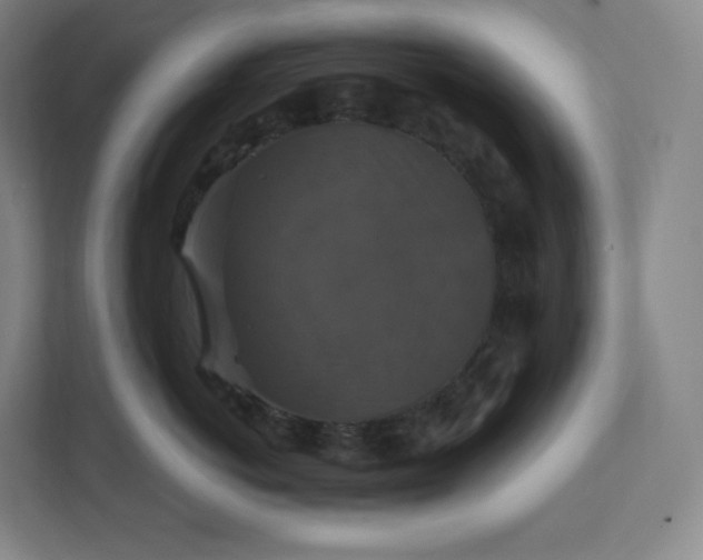 X0000112200766200908211540