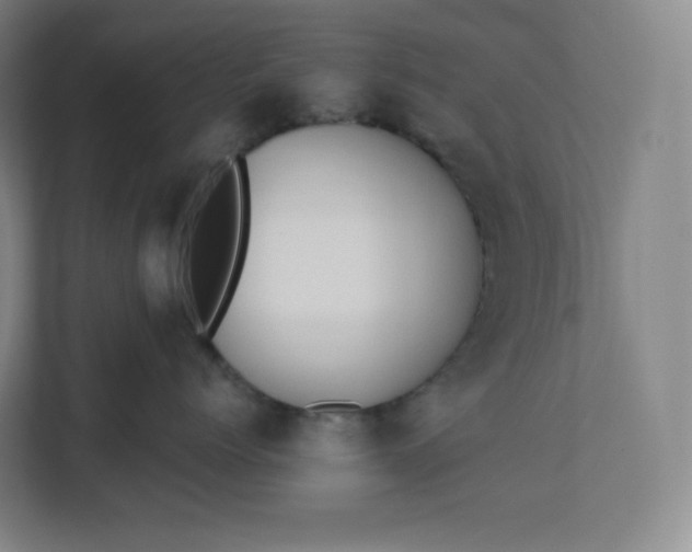 X0000112200768200908211540