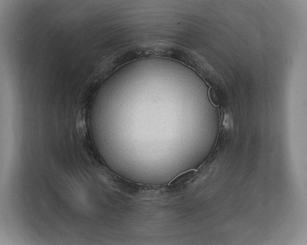 X0000112200771200908211540