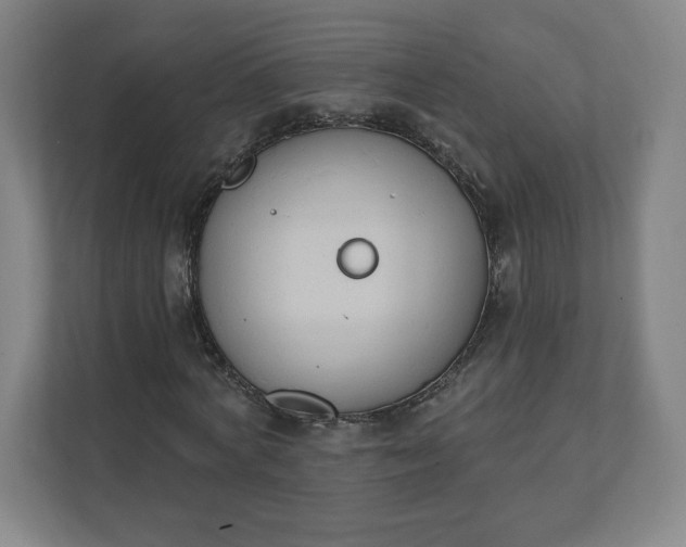 X0000112200772200908211540