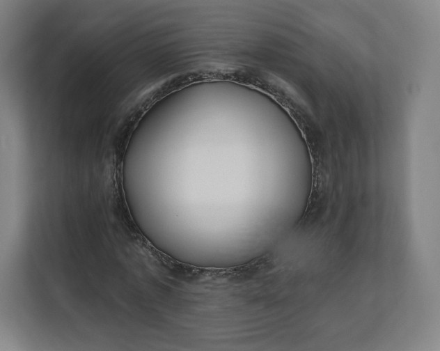 X0000112200773200908211540