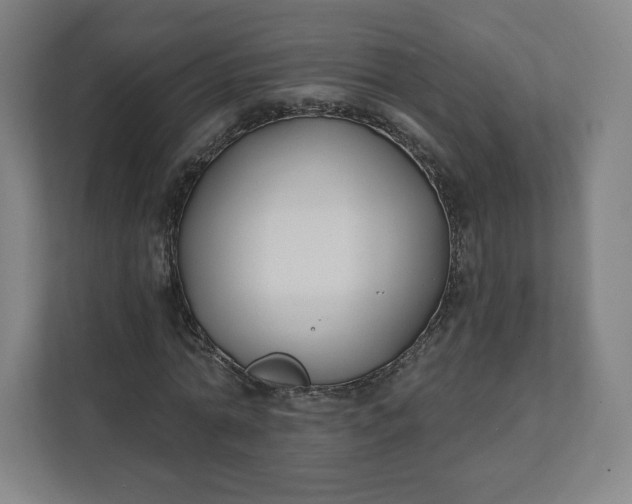 X0000112200774200908211540