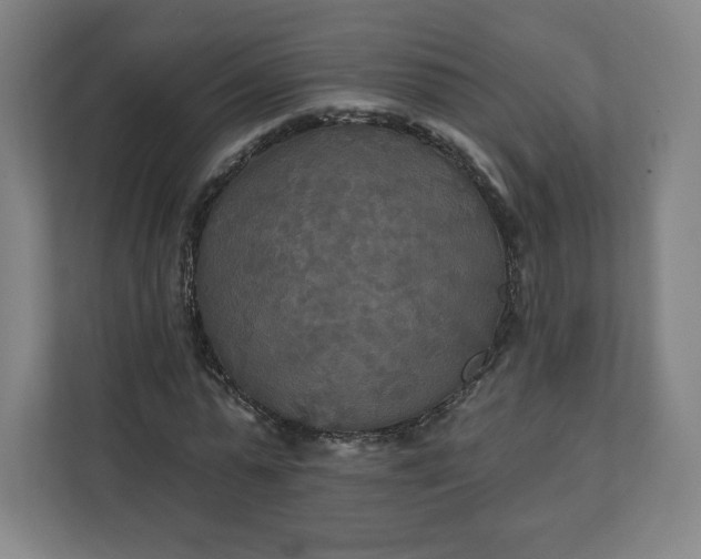 X0000112200775200908211540