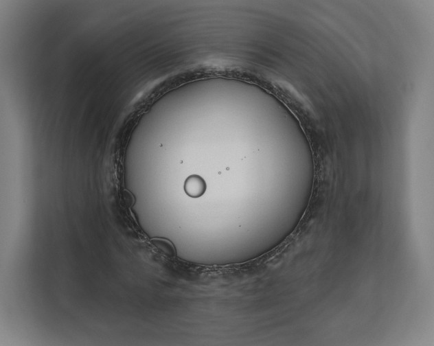 X0000112200776200908211540