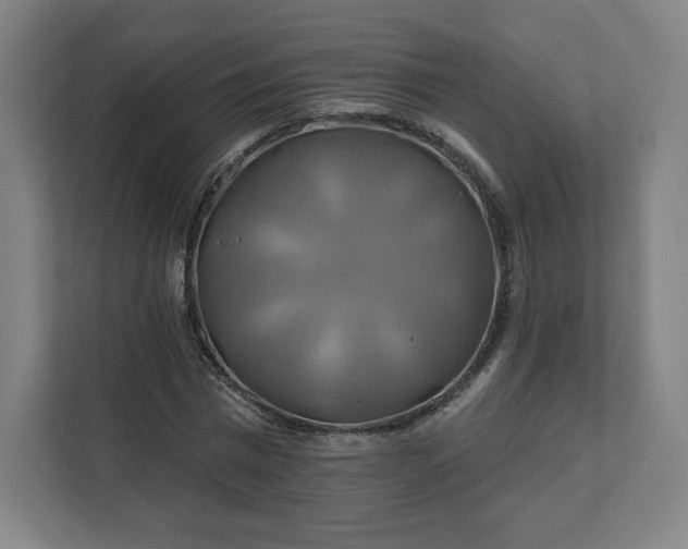 X0000112200777200908211540