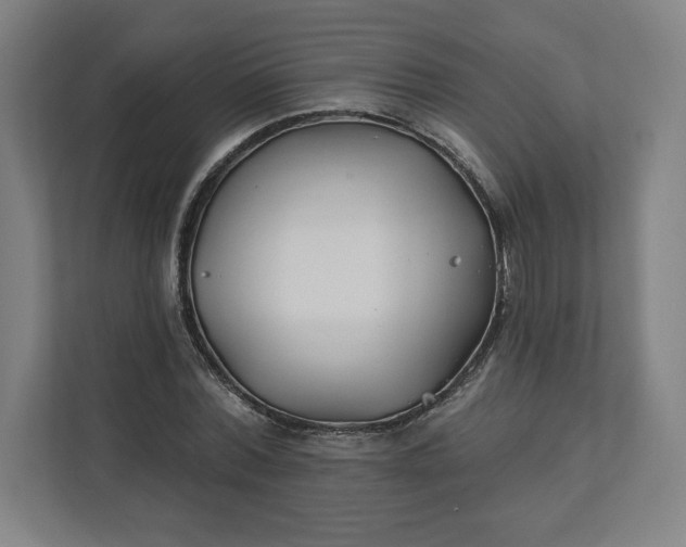 X0000112200780200908211540