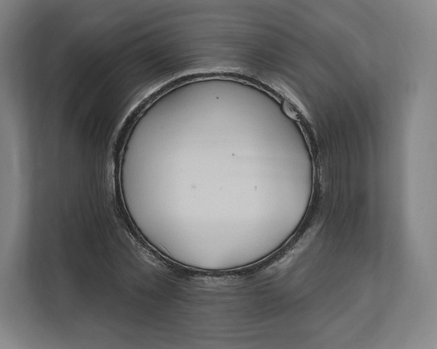 X0000112200781200908211540