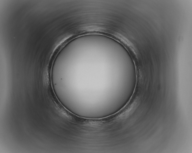 X0000112200782200908211540