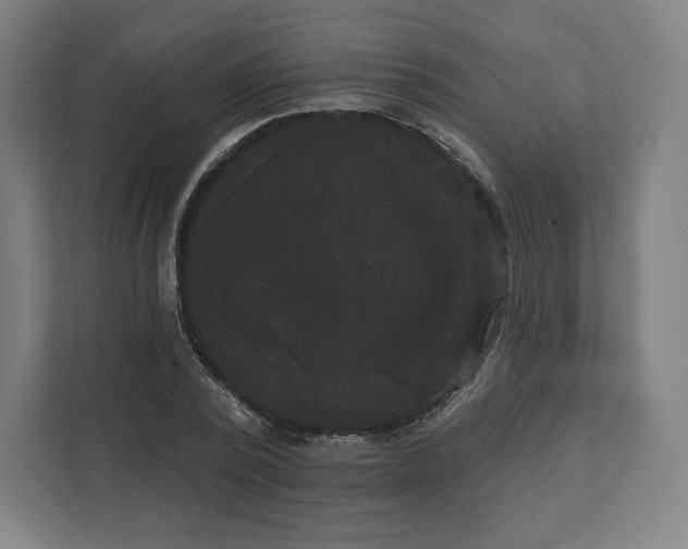 X0000112200784200908211540