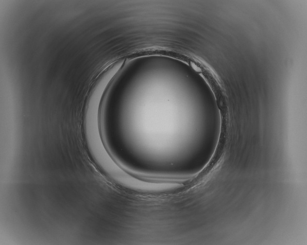 X0000112200785200908211540