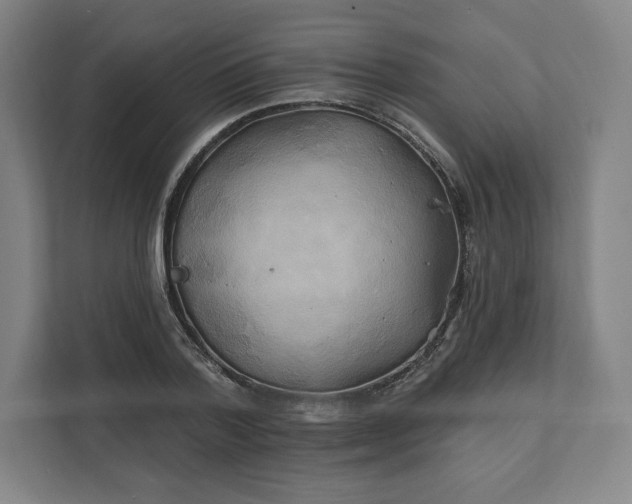 X0000112200788200908211539