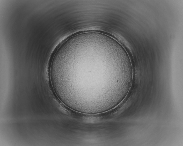 X0000112200789200908211539