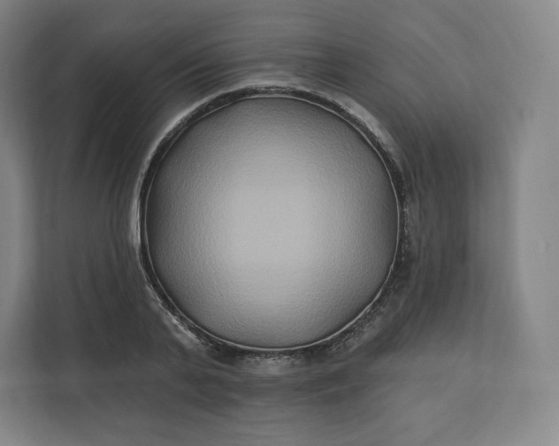 X0000112200791200908211539