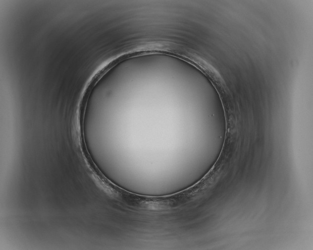 X0000112200792200908211539