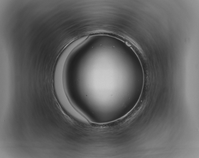 X0000112200793200908211539