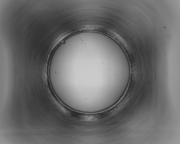 X0000112200794200908211539