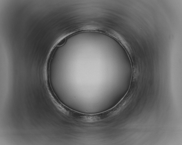 X0000112200795200908211539