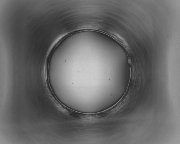 X0000112200796200908211539