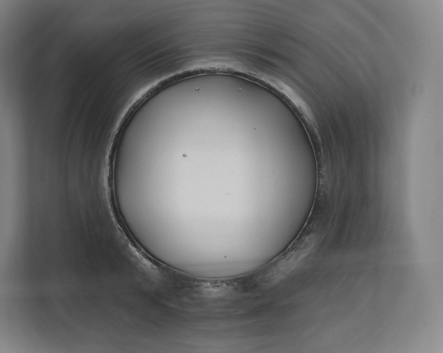 X0000112200799200908211539