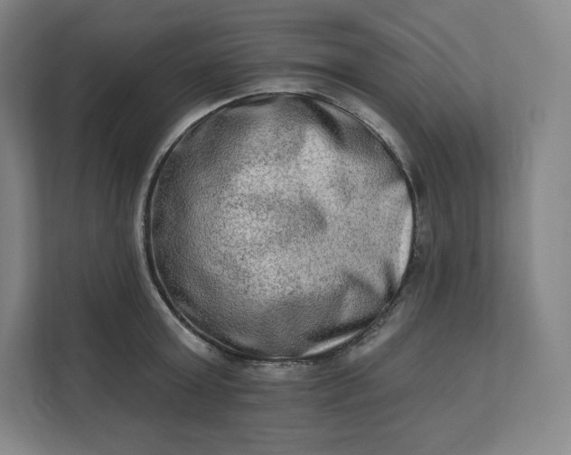 X0000112200803200908211539