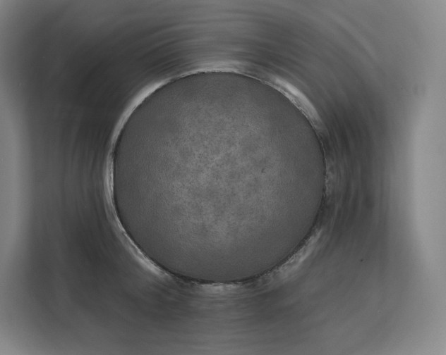 X0000112200804200908211539