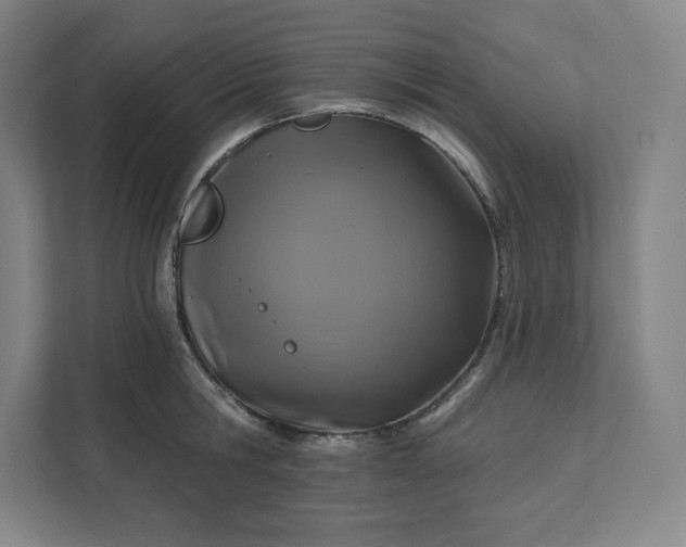 X0000112200806200908211539