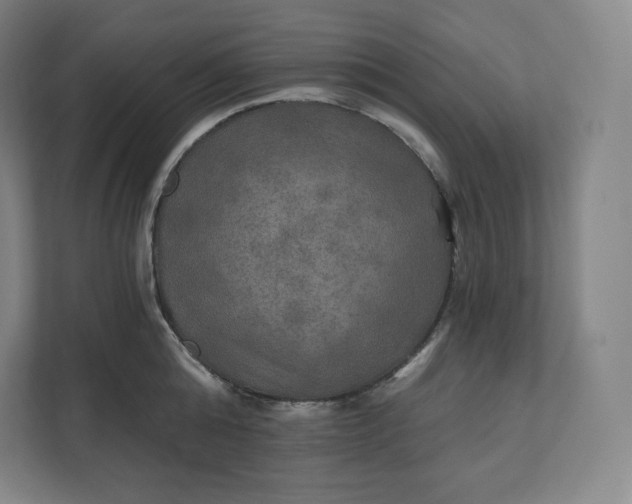 X0000112200808200908211539