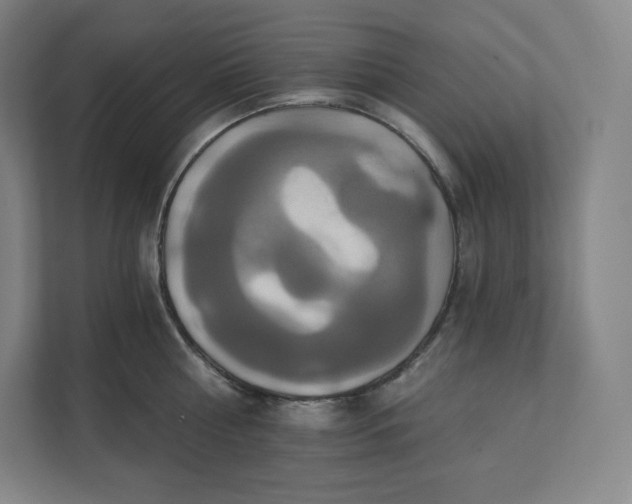 X0000112200810200908211539